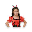 Picture of LADYBIRD COSTUME WITH HEADBAND, BELT 5-6 YEARS